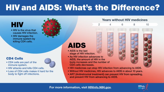 HIV and AIDS: What’s the Difference?